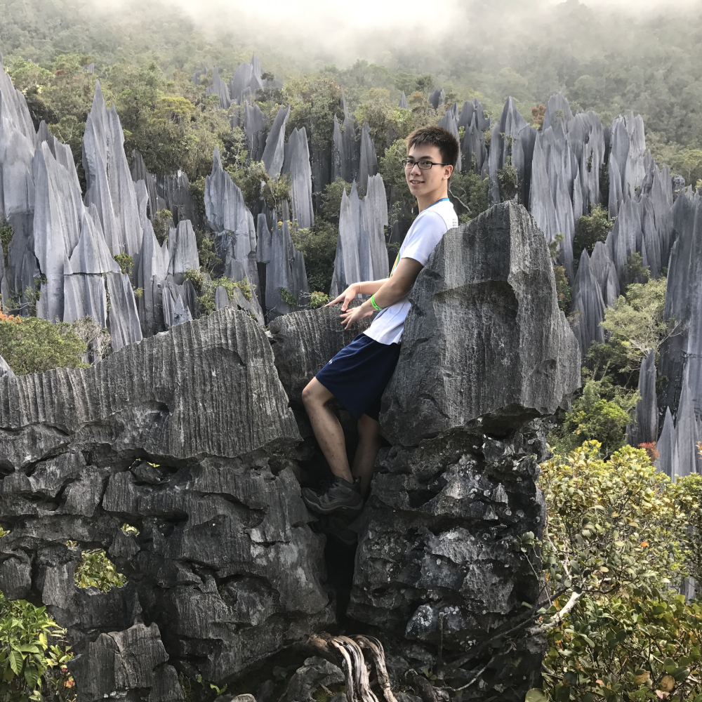 DI SHAN CHOOI 徐地山