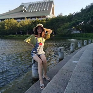 HUIZHI DING 丁慧芝