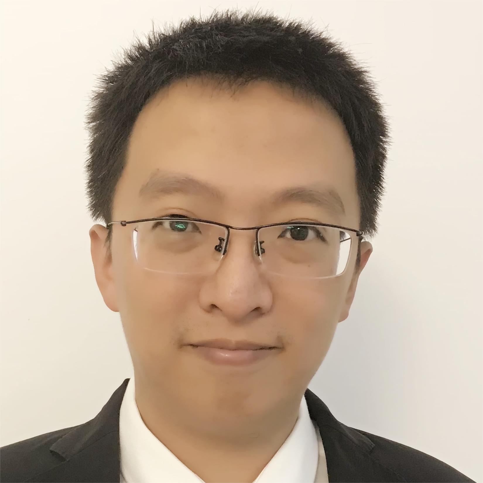 Wenjing Hong 洪文晶